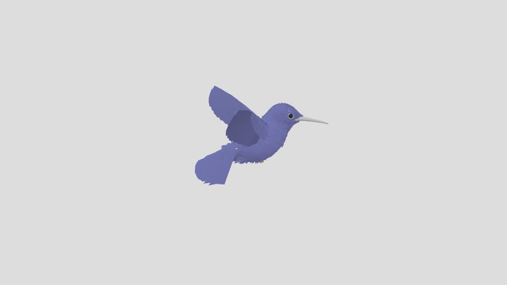 Humming Bird Hover To Sitting 3D Model