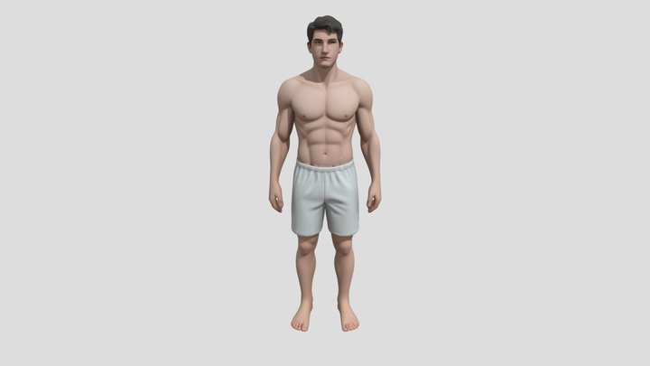 Human 3D Model