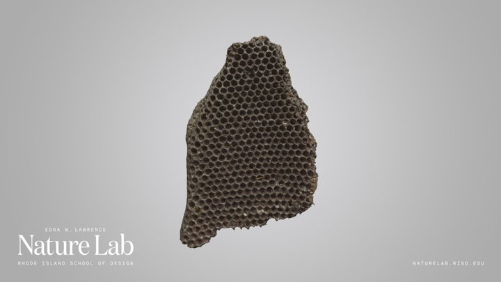 Honeycomb – Modelo 3D gratuito STL
