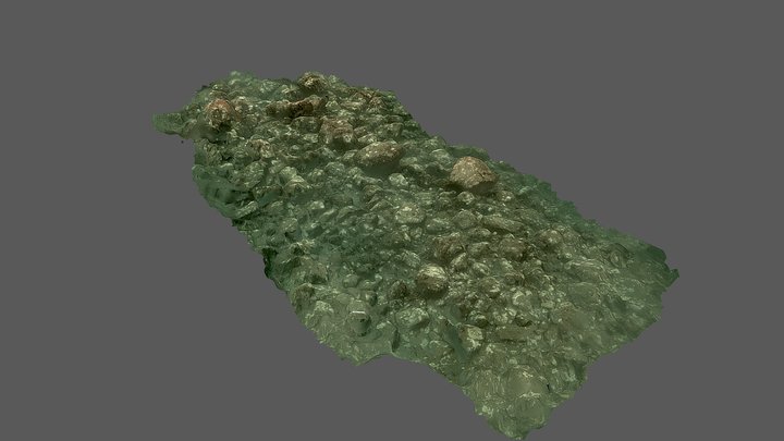 Honolii Shallow Reef 3D Model