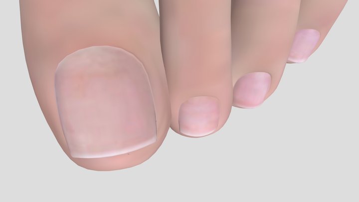 quicklook-15F3DFD4-D51C-489D-A81E-7222F269D67A 3D Model