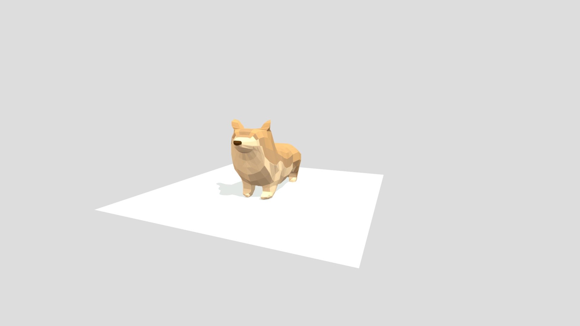 Corgi