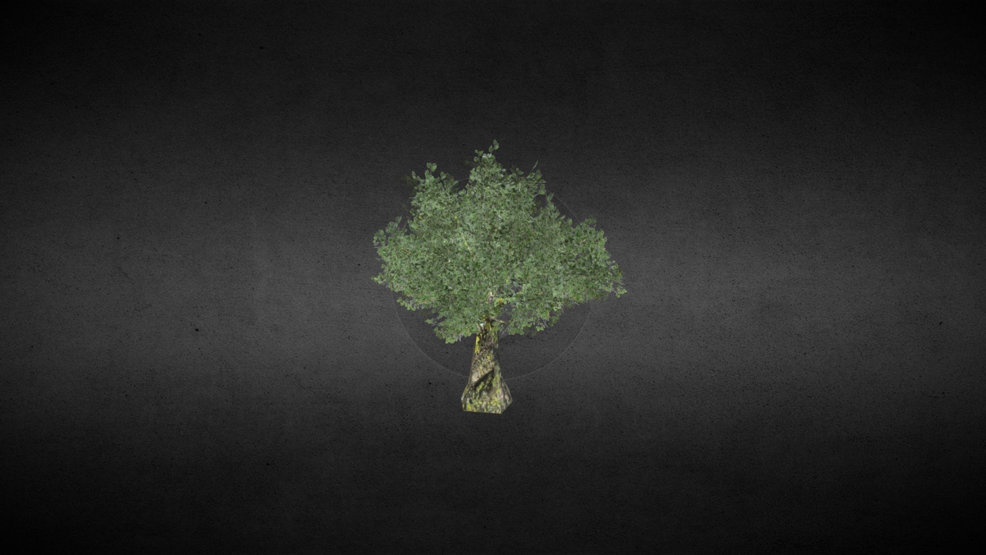 Low Poly Tree