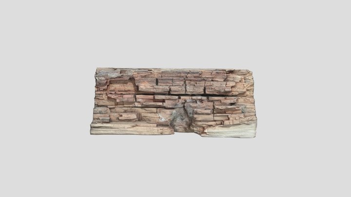 Firewood Scan 3D Model