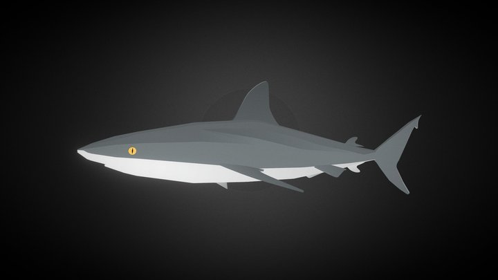 Reef Shark 3D Model