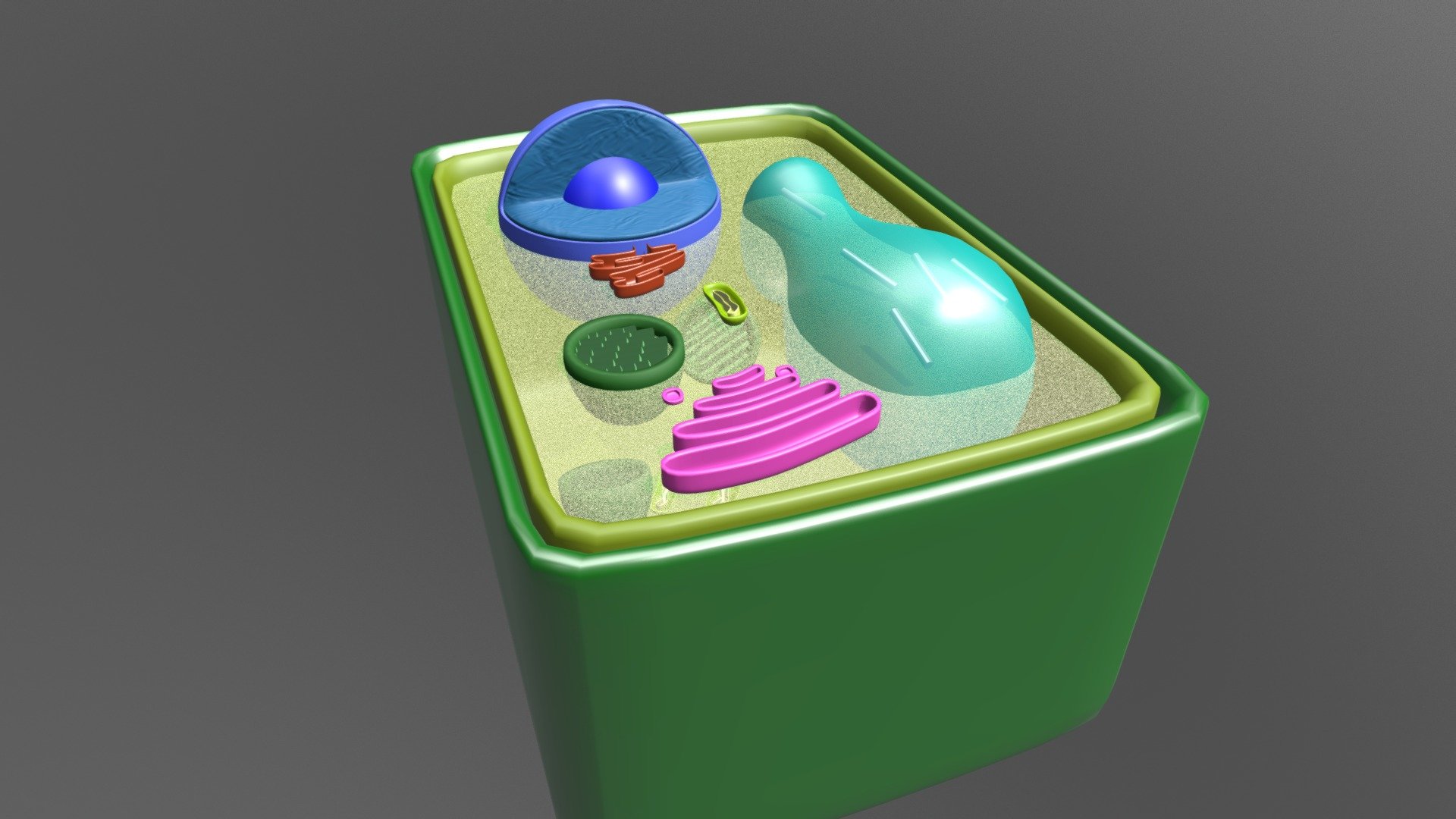 Искусственная клетка 3. Plant Cell 3d. 3д модель клетки. 3д модель растительной клетки. Модель клетки растения.