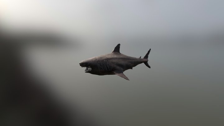 megalodon 3D Model