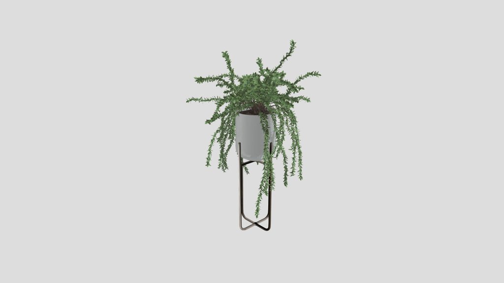 Trailing Green Planter