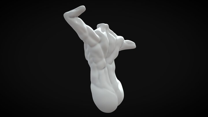 Male Torso Anatomy 3D Model