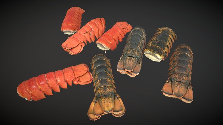 Atlantic Lobster Tails 3D Model