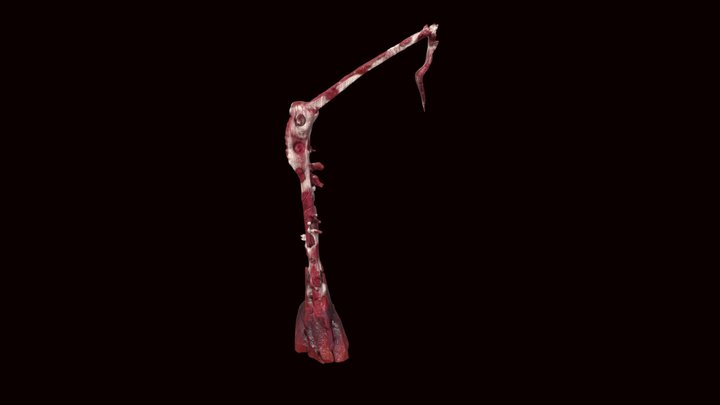 Flesh Post 3D Model