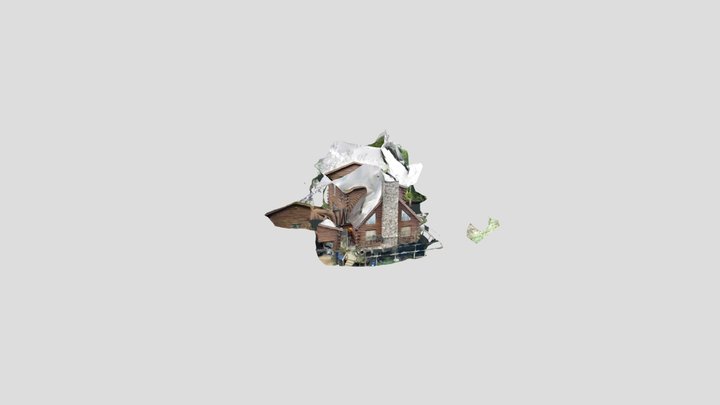 Untitled Scan 3D Model