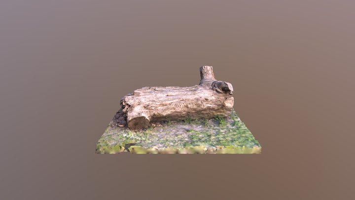 Large_Log 3D Model