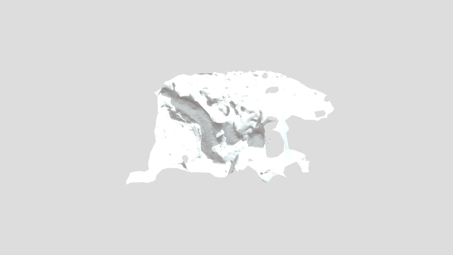 Roots - photogrammetry