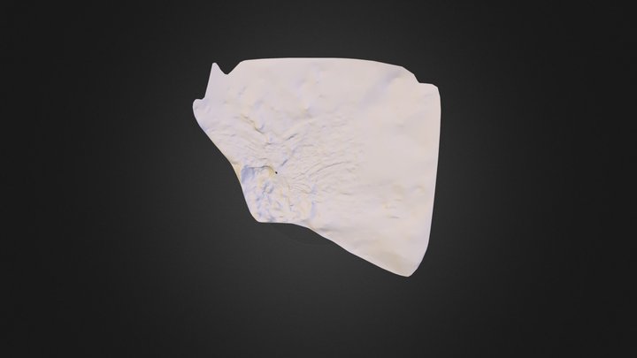 Mesh 3D Model