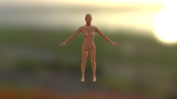Female Anatomy Sculpt 3D Model