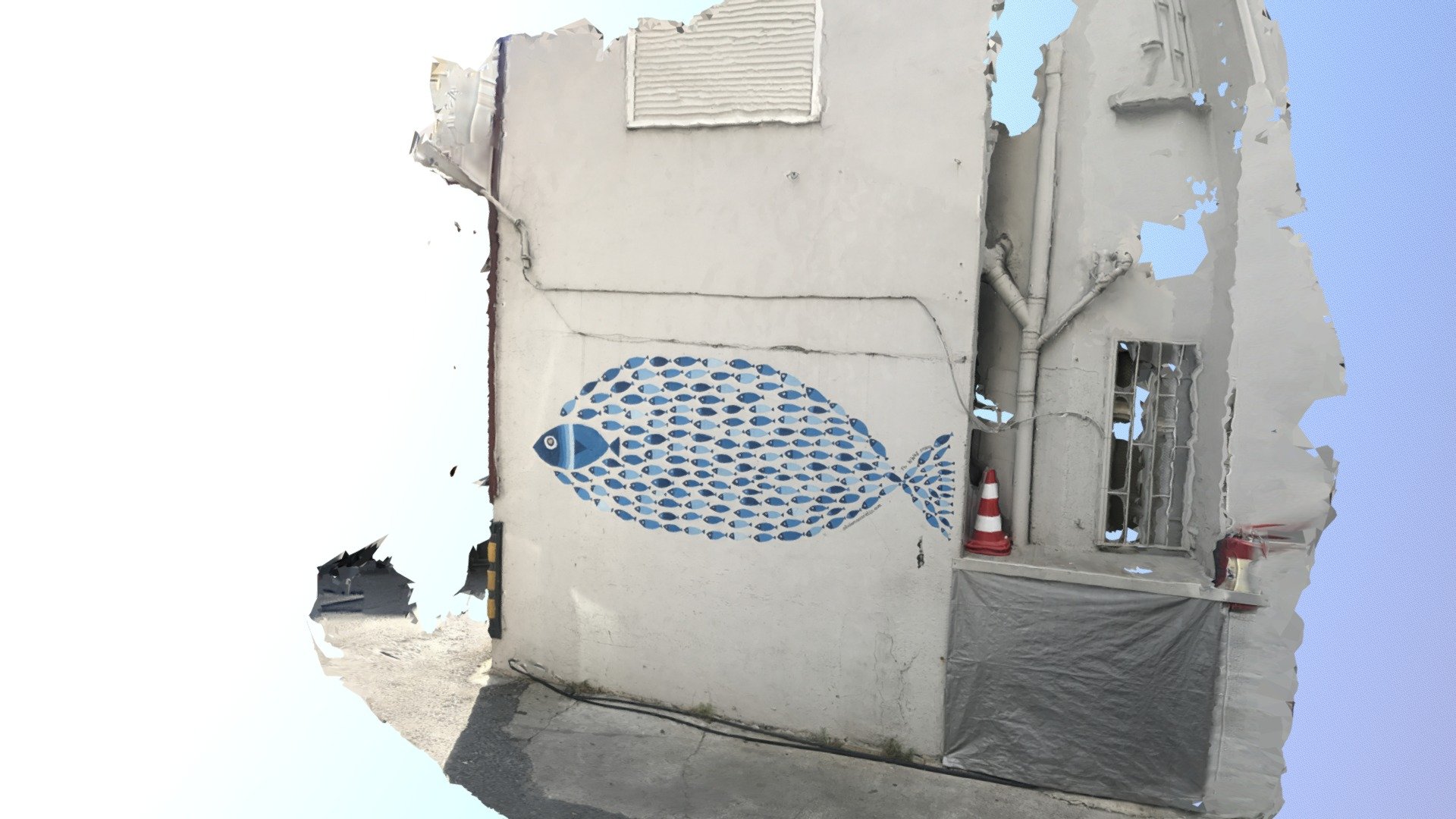 wall with a fish