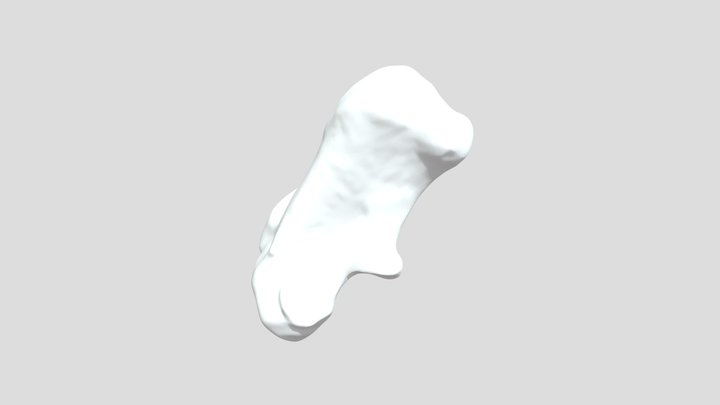 Calcaneo 3D Model