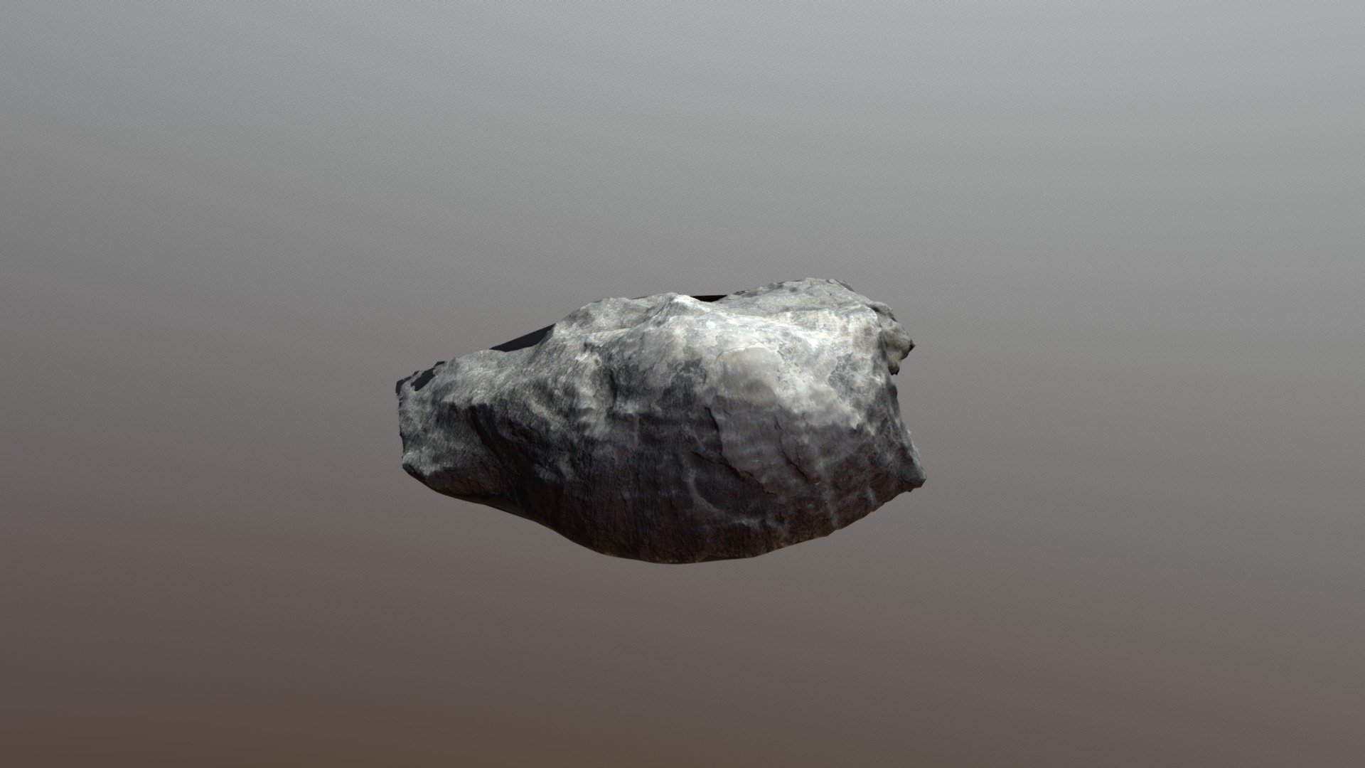 Brachiopoda