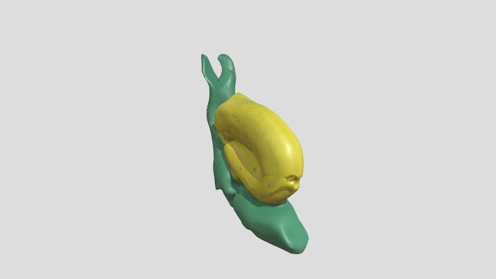 Mr. Snail – Kostenloses 3D-Modell STL