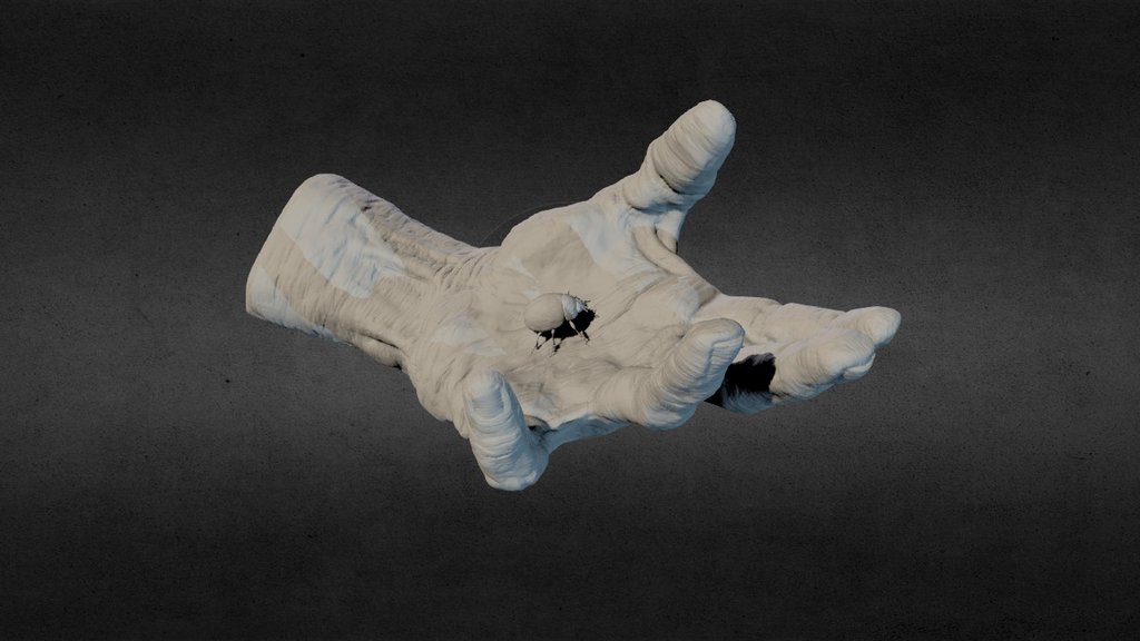 Day 31 - Hand
