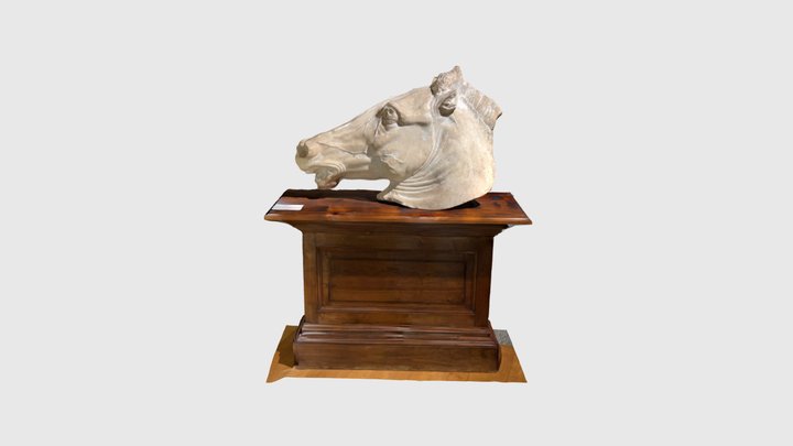 Testa di cavallo 3D Model
