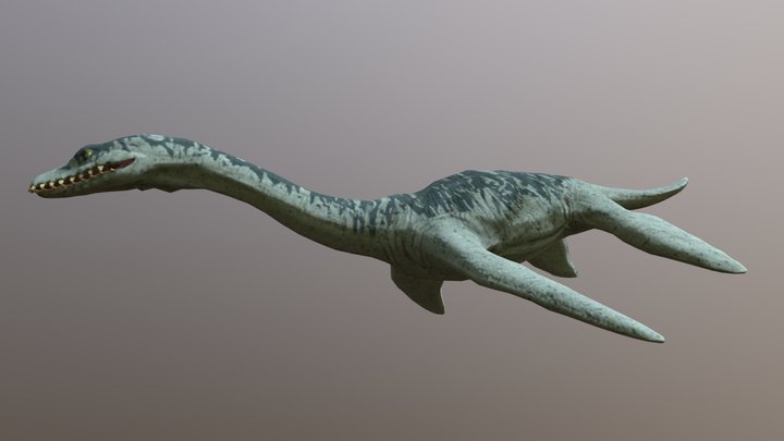 Plesiosaurus