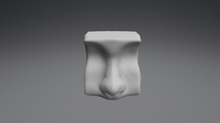 Nose Sculpt 3D Model