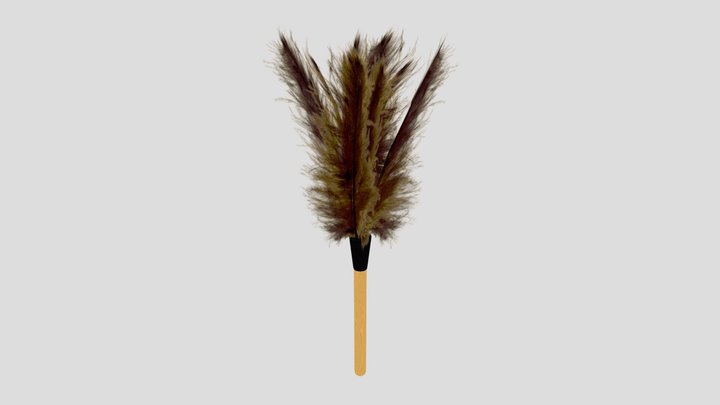 Feather duster 3D Model