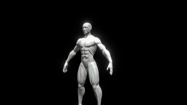 Basemesh Male 3D Model