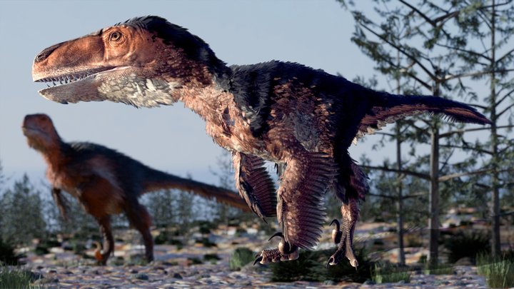 Utahraptor 3D Model