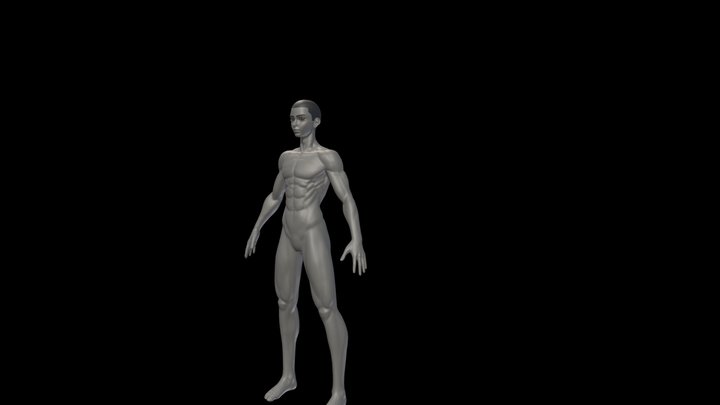 Male Stylized character V3 3D Model