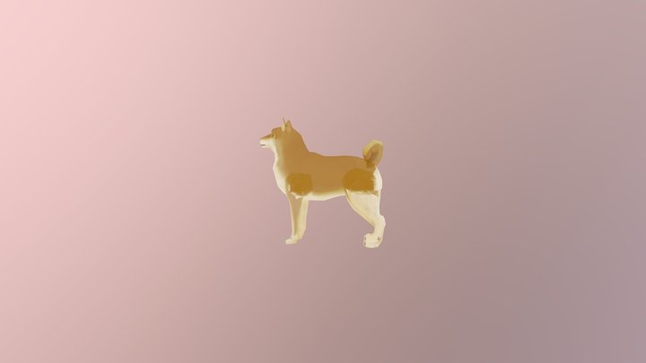 Doge 3D Model