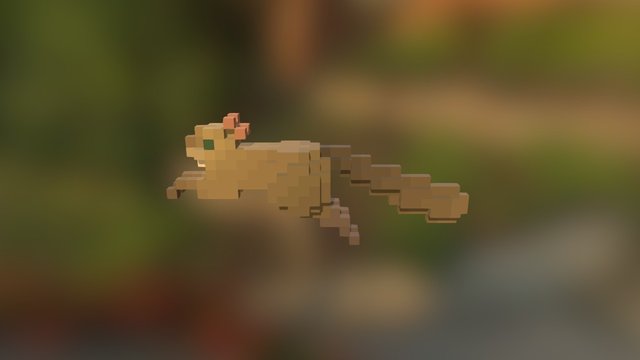Squirrel - Fugl 3D Model