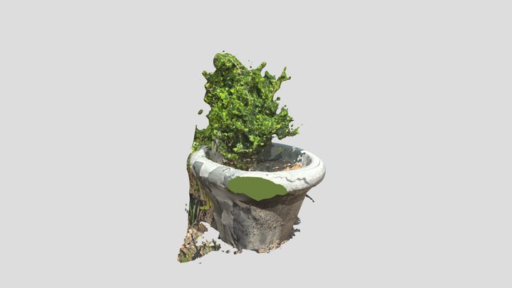 Updated plant model 3D Model