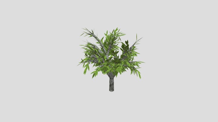 Tree 3D Model