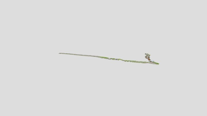 Path and Tunnel 3D Model