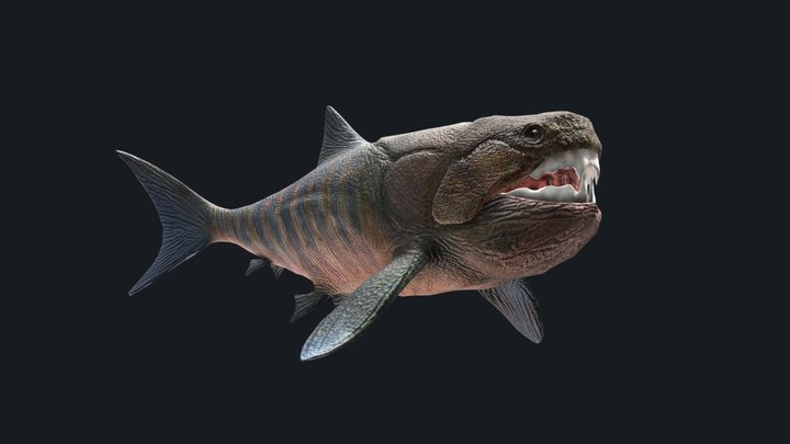 Dunkle 3D Model