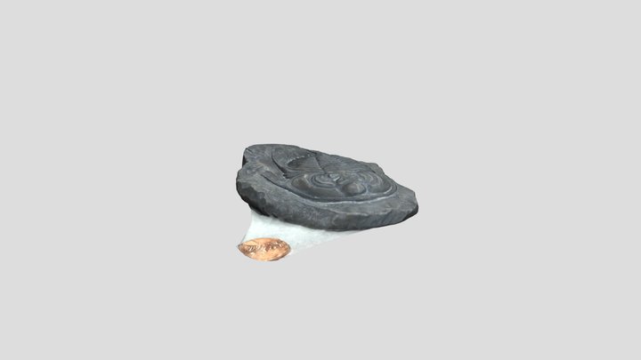 Olenellus Olenellus 3D Model