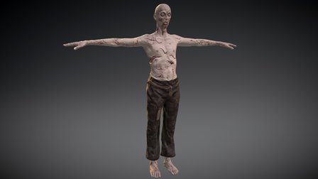 Zombie Male Skiny 3D Model