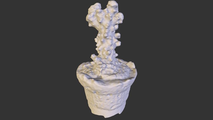 Next Engine - Branching Corallite 3D Model