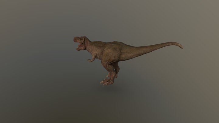 www.1045191530@qq.com 3D Model