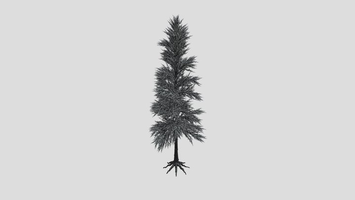 Pine Tree Variation – Modelo 3D gratuito STL