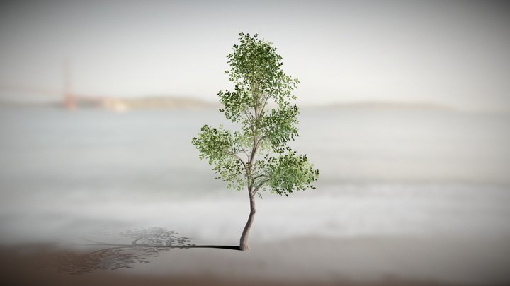 Realistic Tree Vol.2 3D Model