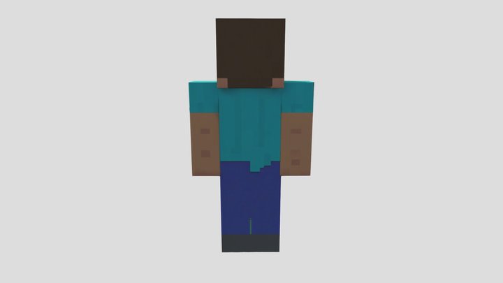 Fake Steve 3D Model