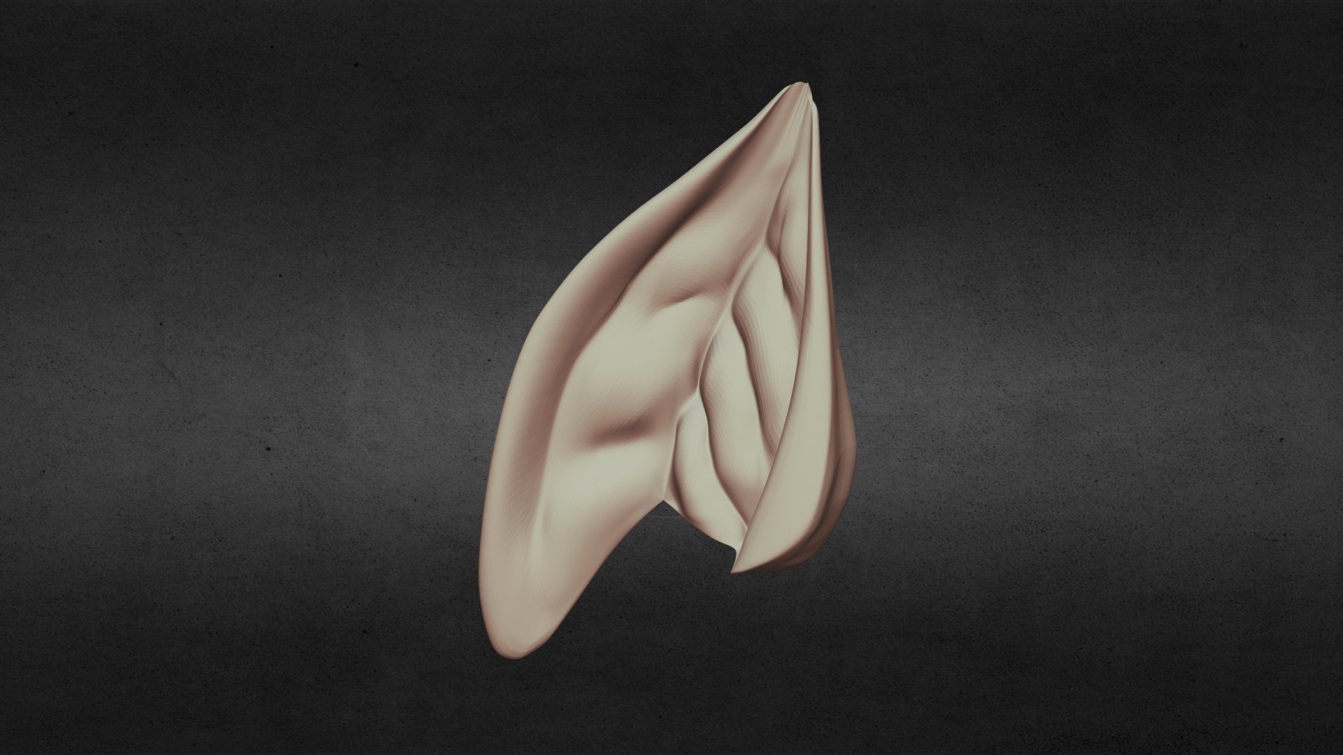 ear book