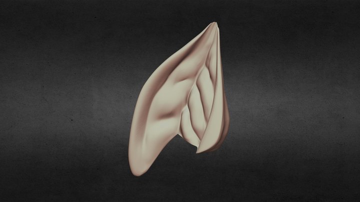 Bat Ear 3D Model