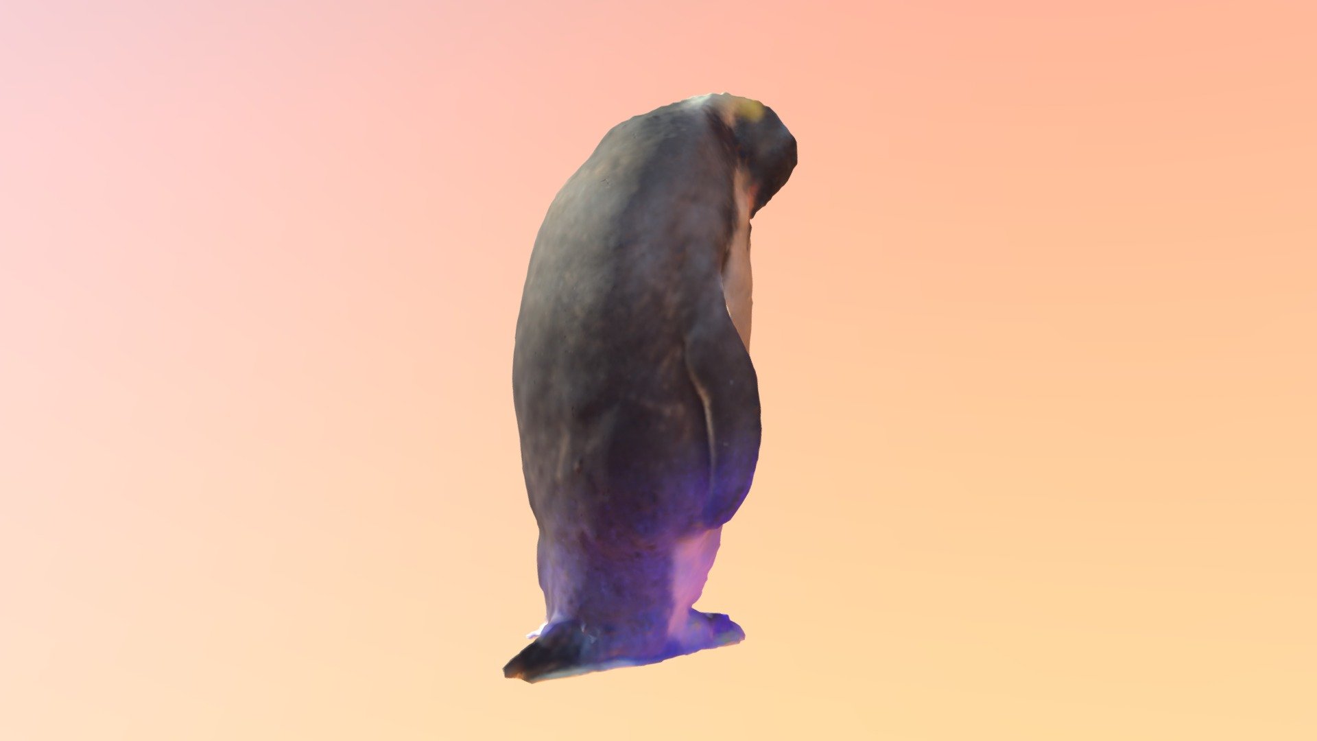 Penguin 1