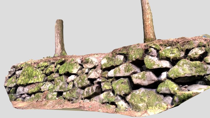 Mossy Stone Wall 03 Kokapu, Hungary 3D Model