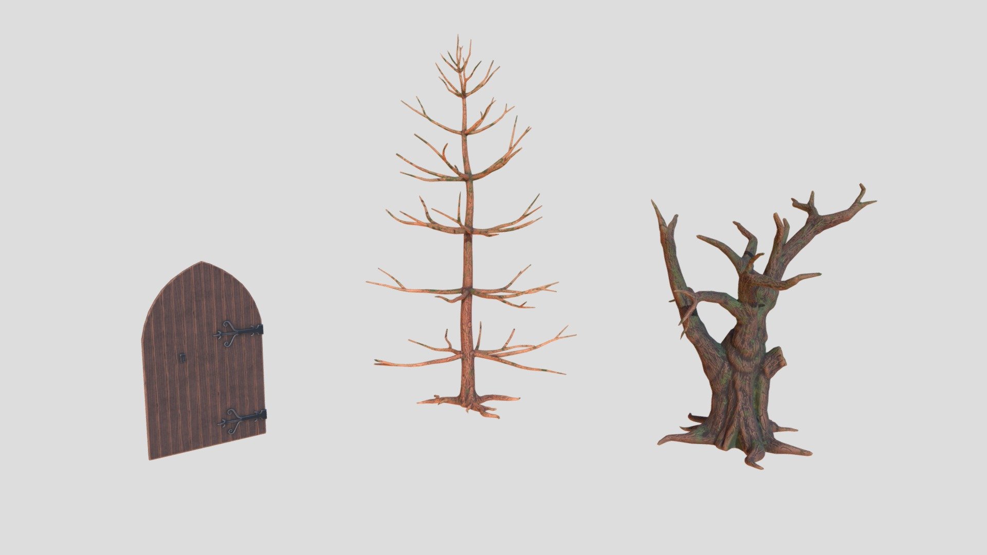 Studies